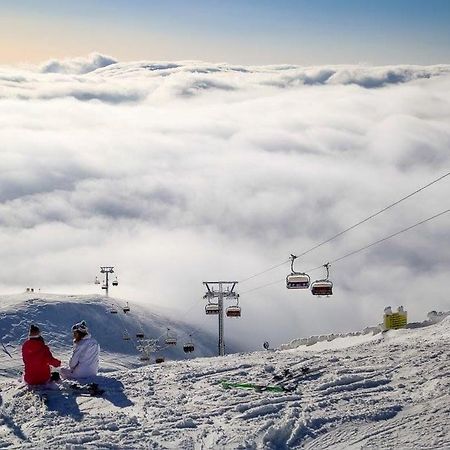 Mountain View Nest Sinaia Exterior foto