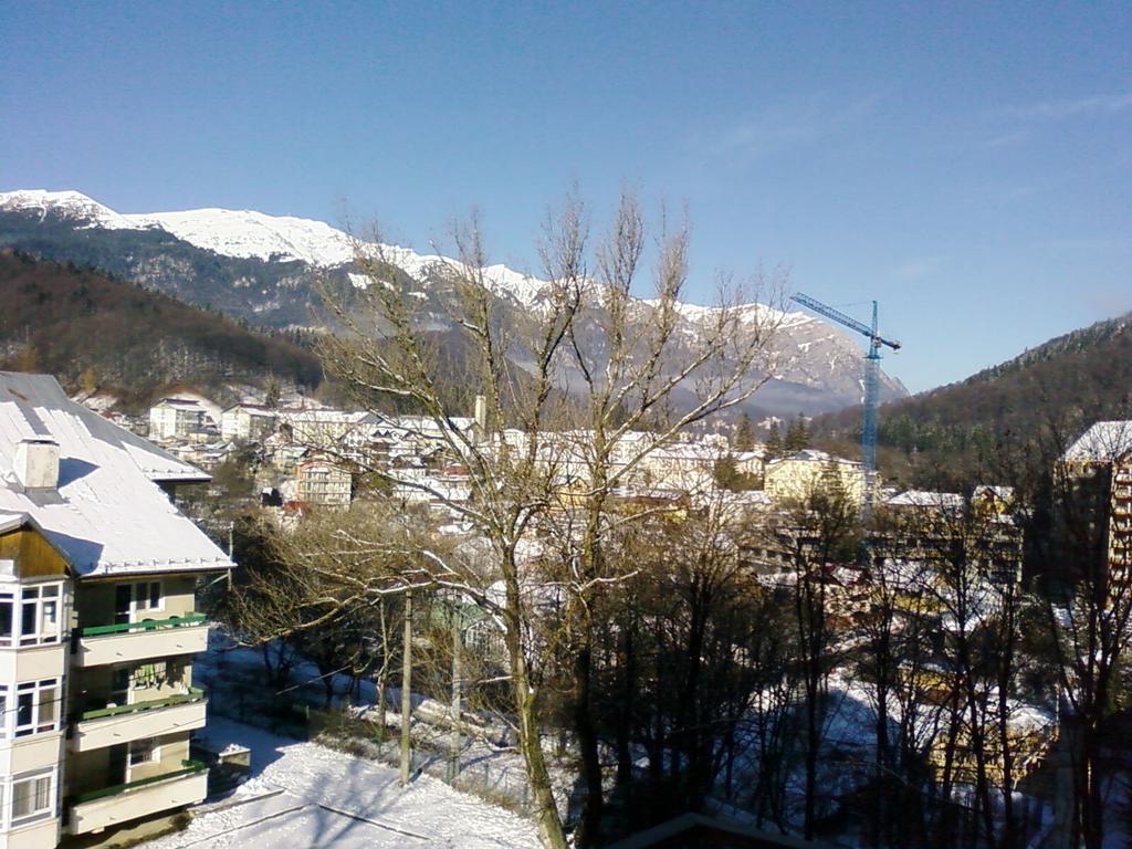 Mountain View Nest Sinaia Exterior foto